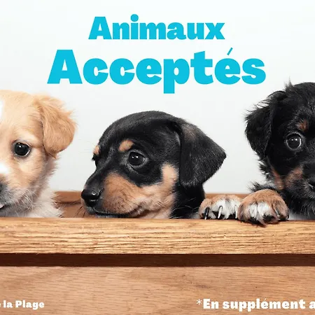 Appartement Calme Avec Terrasse Et Garage A Saint-Jean-De-Monts - Fr-1-323-145 아파트 생장드몽