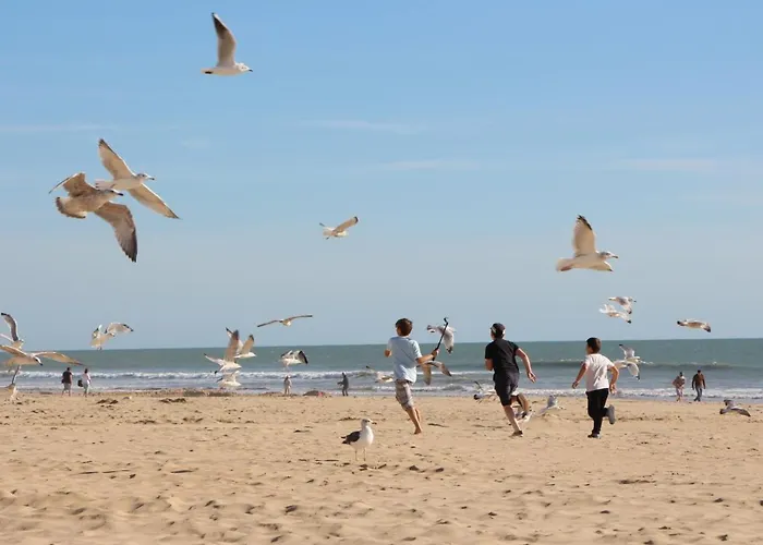 아파트 Appartement Calme Avec Terrasse Et Garage A Saint-Jean-De-Monts - Fr-1-323-145 *